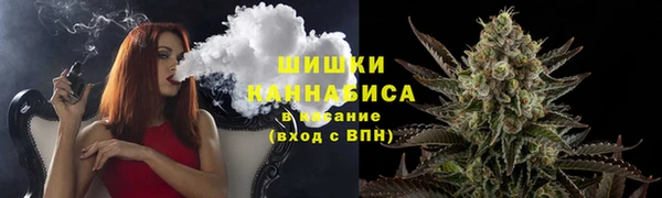 сатива Бородино