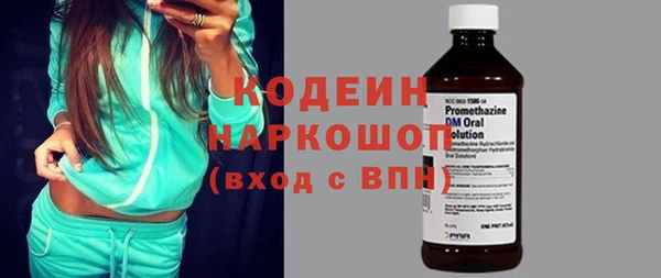 сатива Бородино