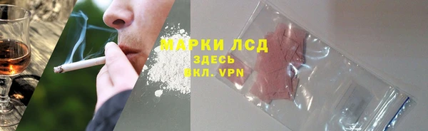 сатива Бородино