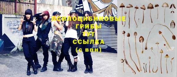 дживик Богданович