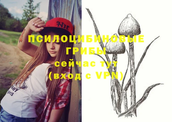 винт Бугульма