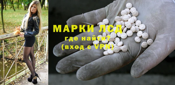 сатива Бородино