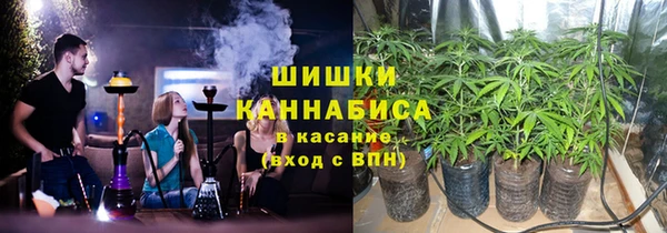 сатива Бородино