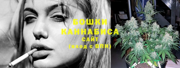 сатива Бородино