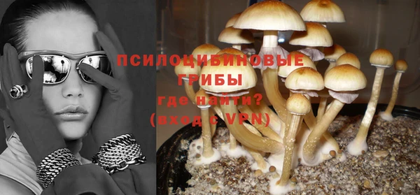 винт Бугульма