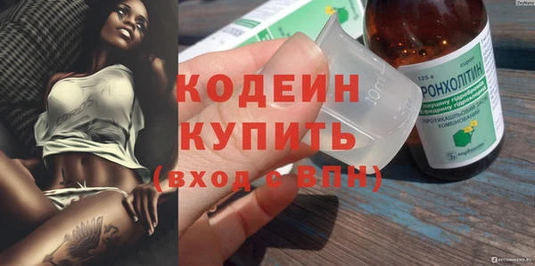 сатива Бородино