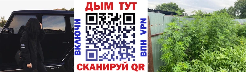 Шишки марихуана план  Качканар 
